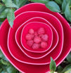 Picture of Raspberries